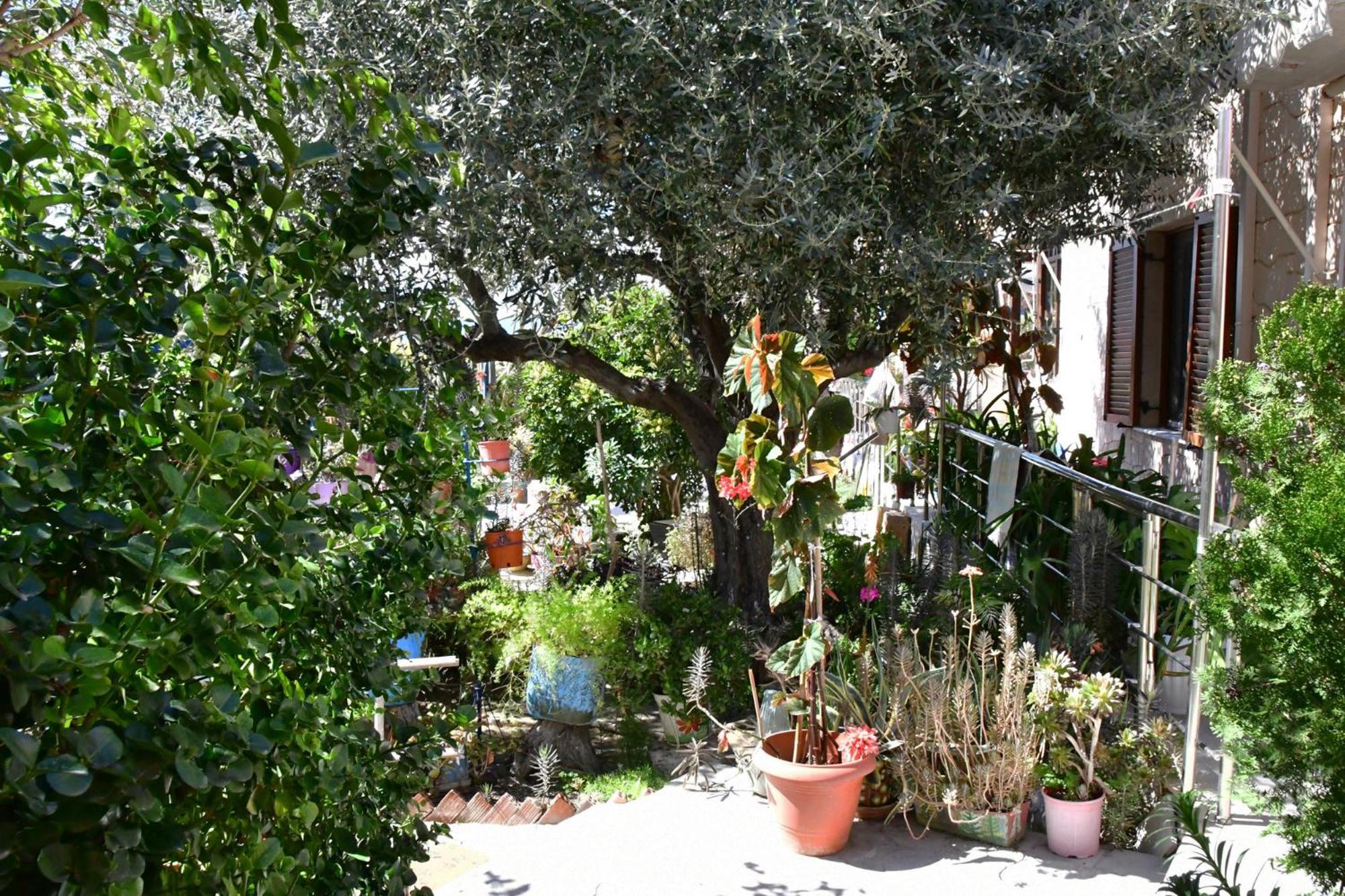 Kalokenti Studios Aegina Buitenkant foto